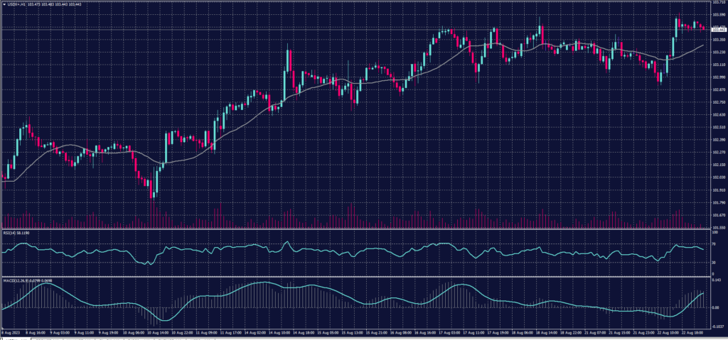 Dollar Index Graph Candle for 23 August 2023